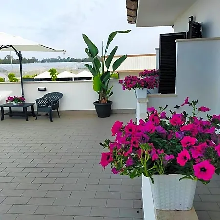 Gioema Bed & Breakfast 4*